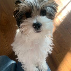 Meet your Posher, Christina